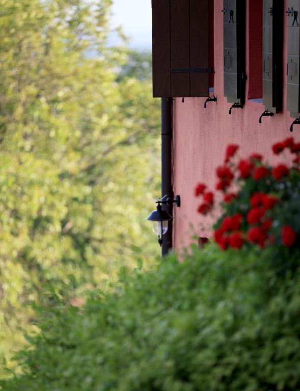 Agriturismo Casa Rossa Ai Colli Ragogna Eksteriør billede