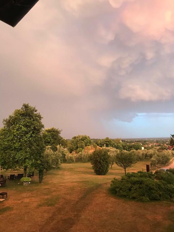 Agriturismo Casa Rossa Ai Colli Ragogna Eksteriør billede